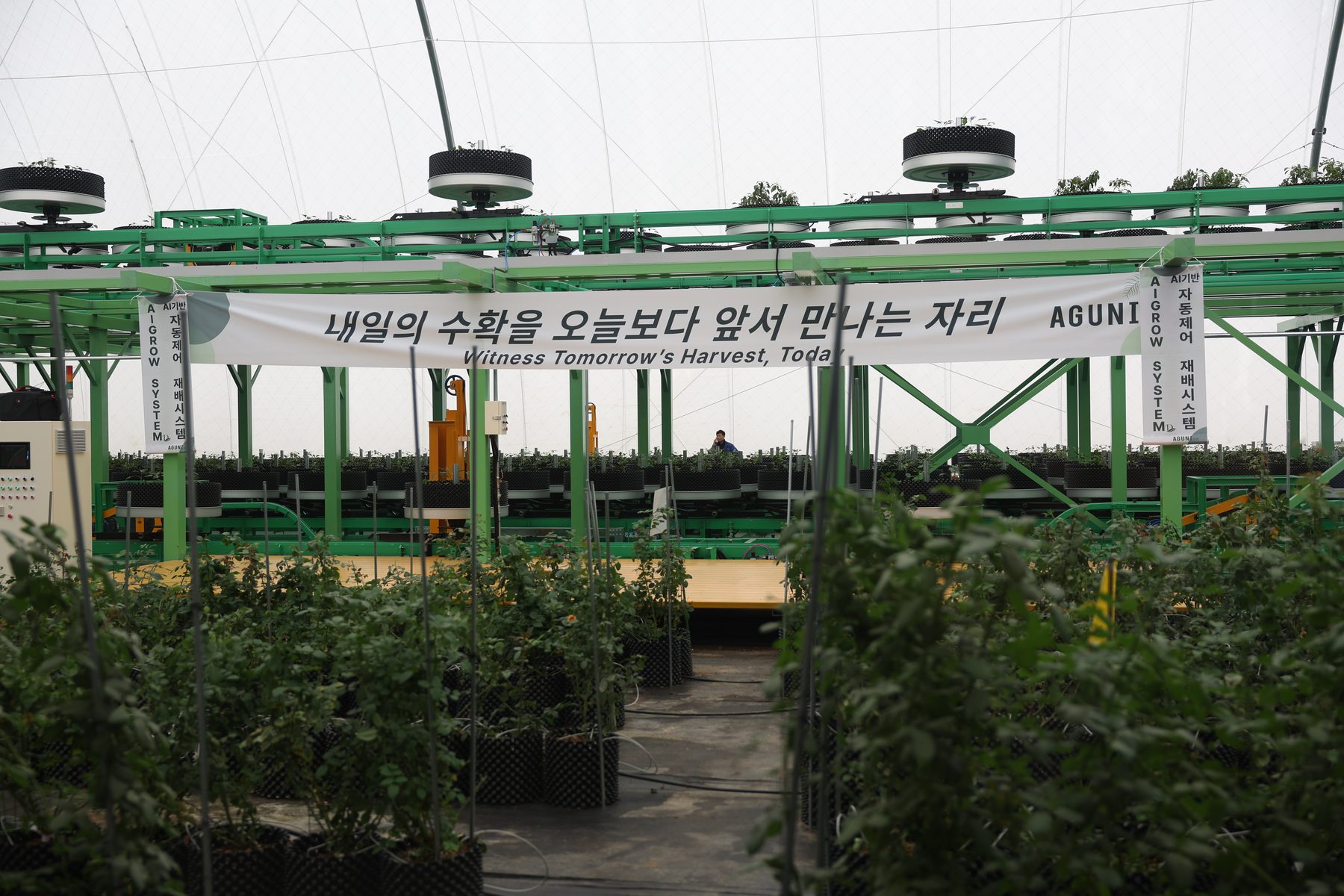 AgDome 내부 — Witness Tomorrow's Harvest, Today